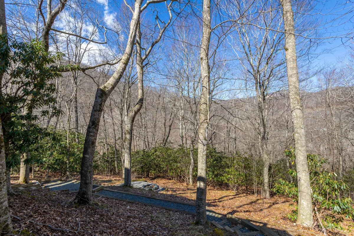 This image captures a breathtaking mountain view framed by tall trees and a rustic pathway winding through the woods. The natural light highlights the peacefulness and unspoiled beauty of the landscape, inviting viewers to imagine hiking or bird watching in this serene environment.